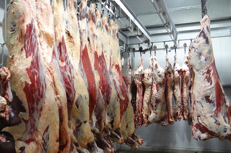 牛屠宰設(shè)備